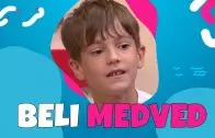 Beli medved – Brankica Zelenkapić