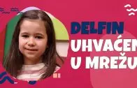 Delfin uhvaćen u mrežu – Jovan Tomić