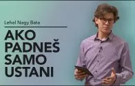 Ako padneš, samo ustani – Lehel Nagy Bata