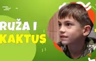 Ruža i kaktus – Marija Stupar