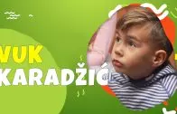 Vuk Stefanović Karadžić – Jelena Dubljević