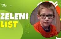 Zeleni list – Lara Aranđelović